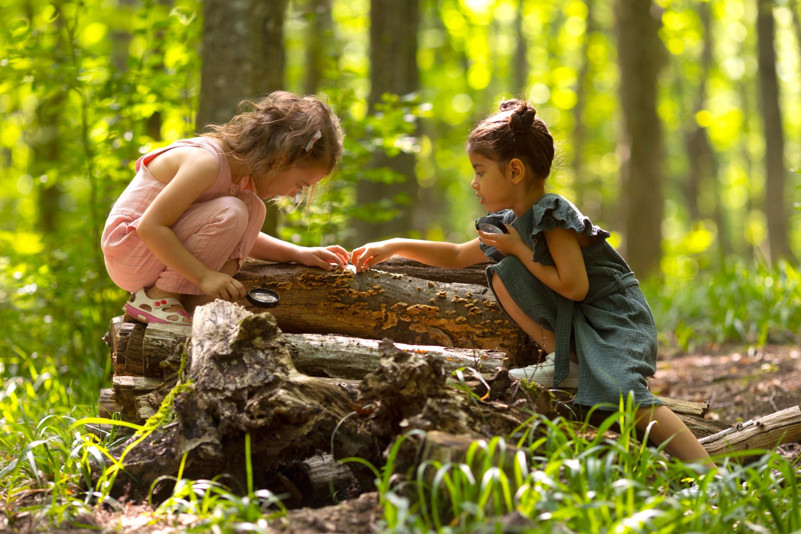 The Vital Connection Between Children and Nature